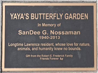 Yaya's Butterfly Garden