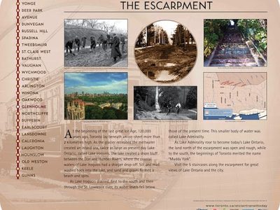 The Escarpment