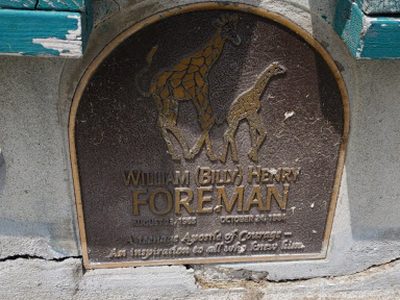 William (Billy) Henry Foreman