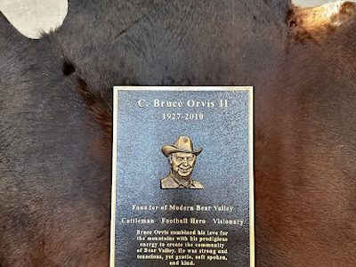 C. Bruce Orvis II