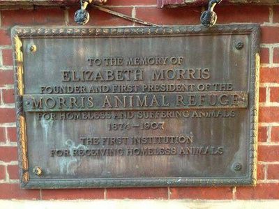 Elizabeth Morris, Morris Animal Refuge