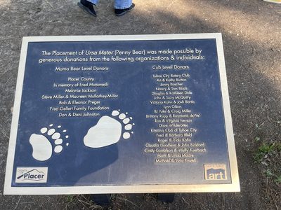 Ursa Mater (Penny Bear)