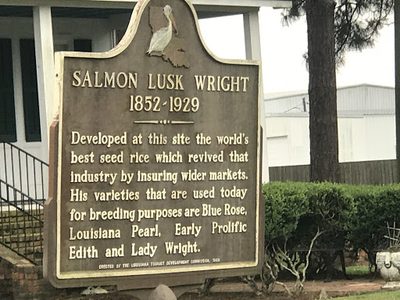 Salmon Lusk Wright 1852-1929