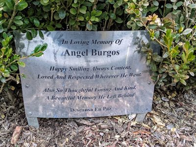 Angel Burgos