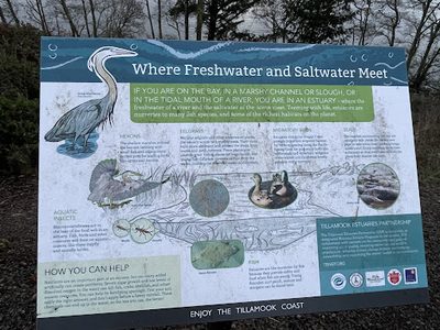 Where Freshwater and Saltwater Meet