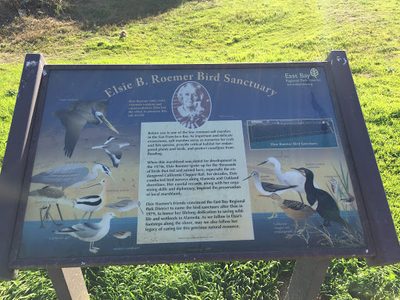 Elsie B. Roemer Bird Sanctuary