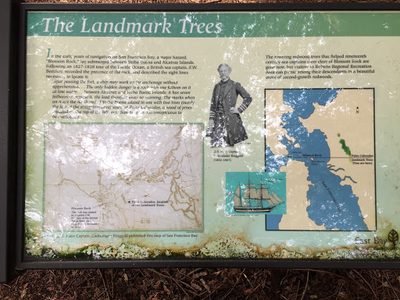 The Landmark Trees