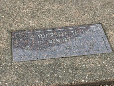 Give Yourself to Love In Memory of Kate Wolf