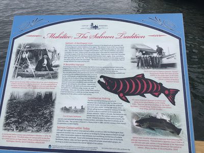 Mukilteo: The Salmon Tradition