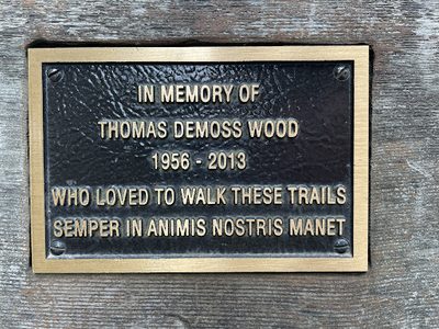 Thomas Demoss Wood