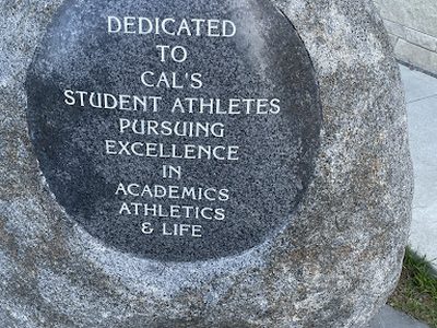 Cal's Student Athletes Pursuing Excellence