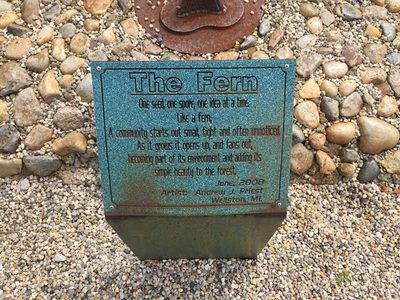 The Fern