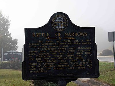 Battle of Narrows