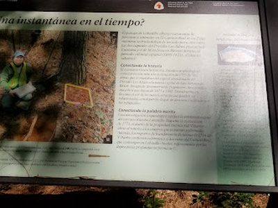 ¿Una instantánea en el tiempo?