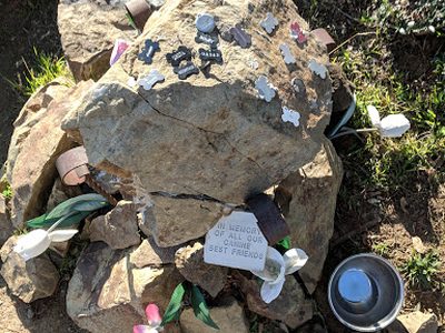 In memory of all our canine best friends