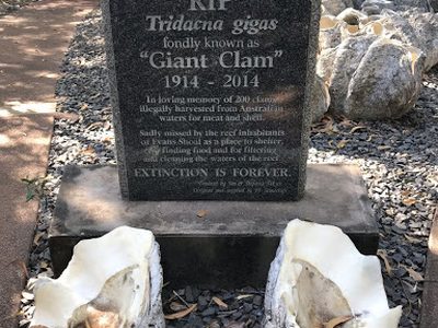 RIP Giant Clam