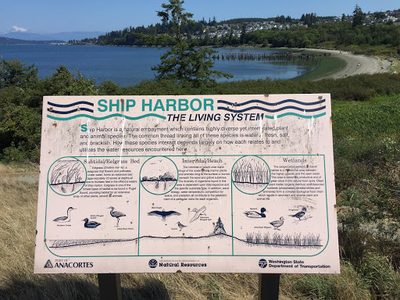 Ship Harbor: The Living System