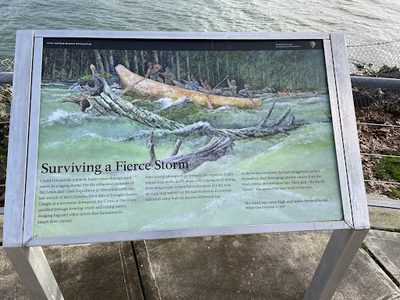 Surviving a Fierce Storm