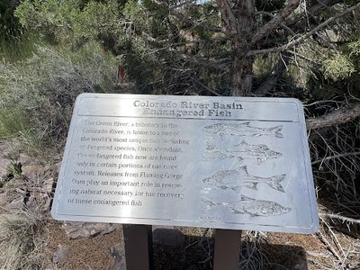 Colorado River Basin Endangered Fish