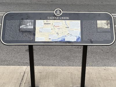 Taddle Creek History
