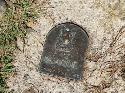 Blackie