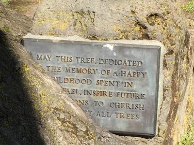 May This Tree