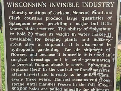 Sphagnum Moss Wisconsin's Invisible Industry