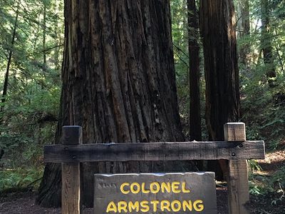 Colonel Armstrong