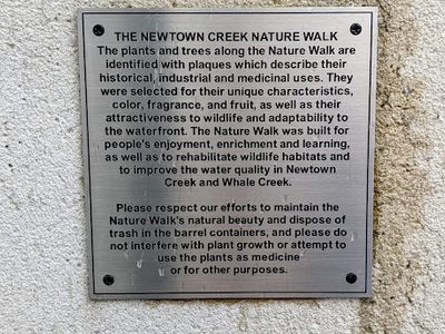 The Newtown Creek Nature Walk