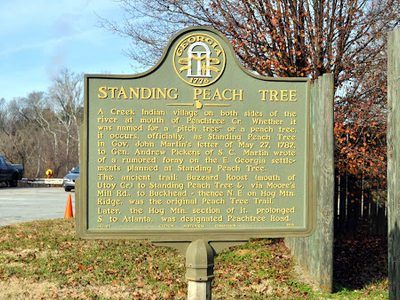 Standing Peach Tree