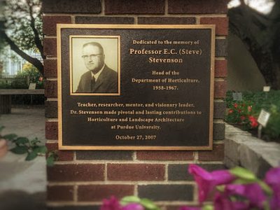 Professor E. C. (Steve) Stevenson Memorial