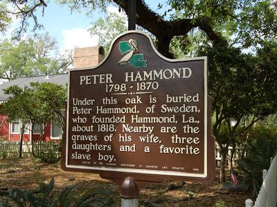 Peter Hammond (1798-1870)