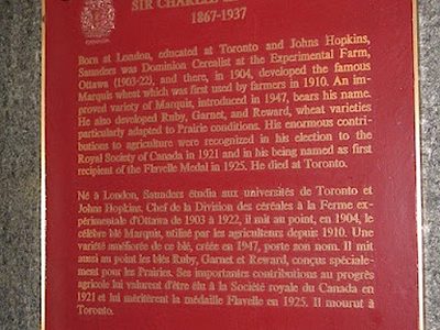 Sir Charles Edward Saunders 1867-1937