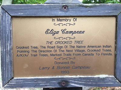 The Crooked Tree