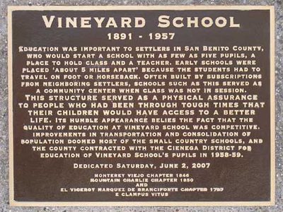 Vinyard School