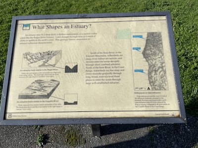 What Shapes an Estuary
