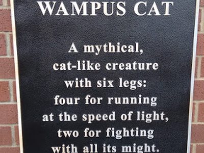Wampus Cat