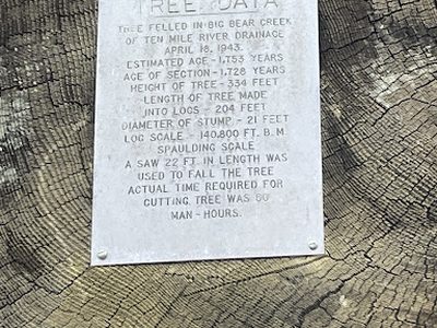 Tree Data