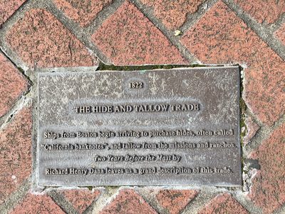 The Hide and Tallow Trade