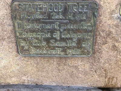 Statehood Tree