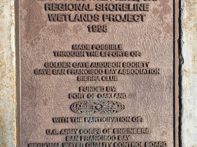 Martin Luther King, Jr. Regional Shoreline Wetlands Project 1998