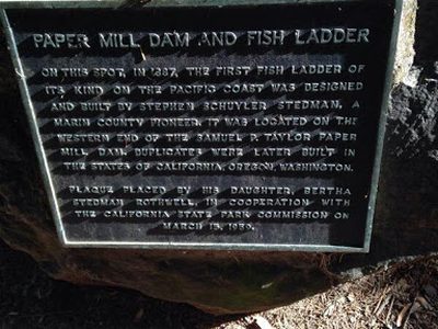 Paper Mill Dam and Fish Ladder
