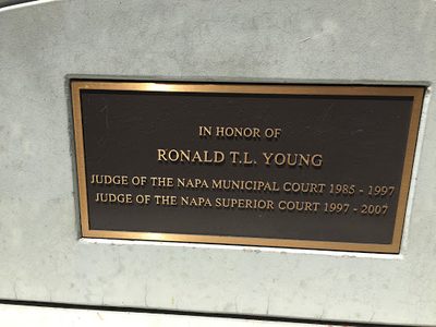 In Honor of Ronald T. L. Young