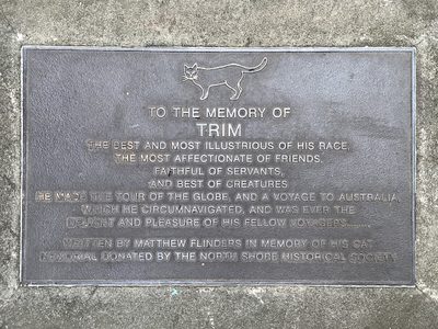 To the memory of Trim