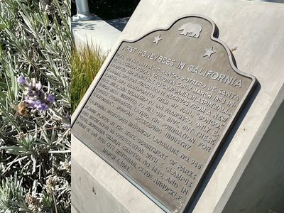 First Honeybees in California