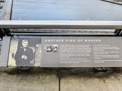 Another Kind of Murder (Ginger Goodwin)