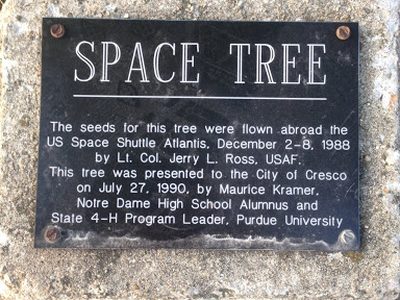 Space Tree