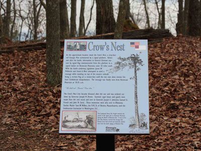 The Crows Nest