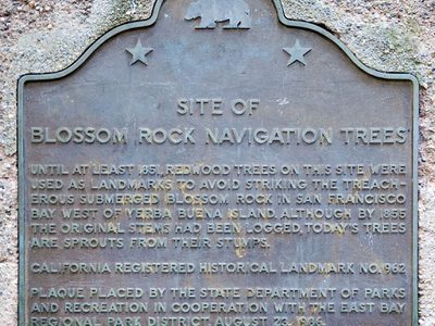 Site of Blossom Rock Navigation Trees
