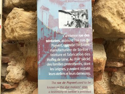 Puyvert